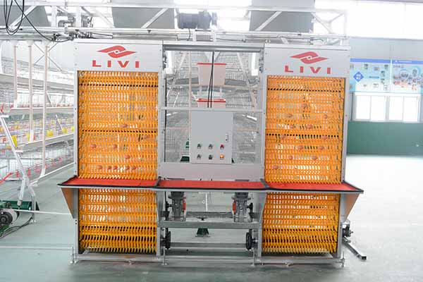 automatic egg collection equipment