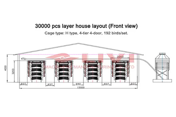 chicken house design of 30000 layers