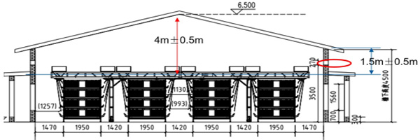 inserted image