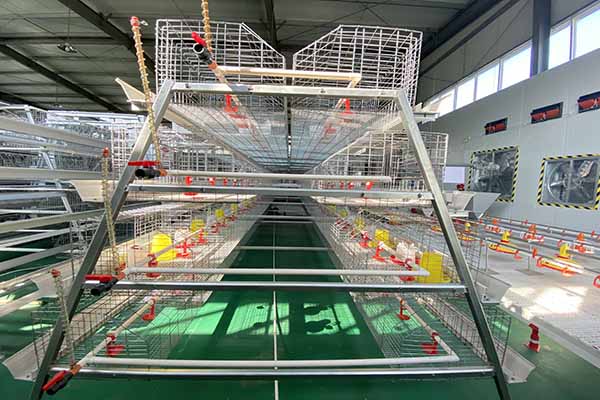 chicken battery cage