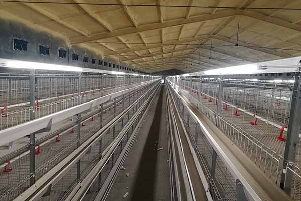 H type chicken battery cage system