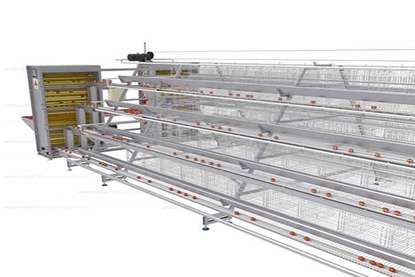 the best layer battery cage in best price