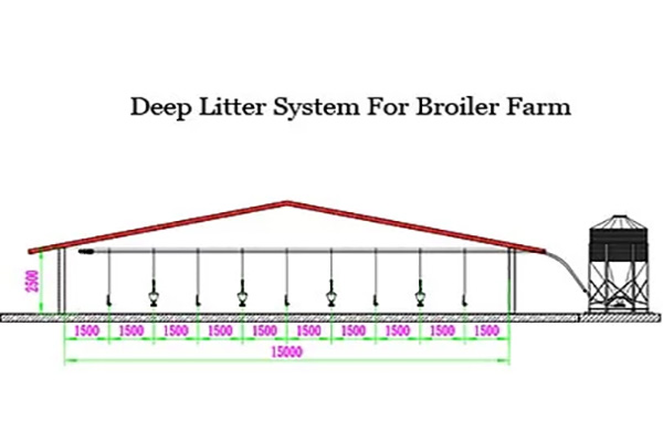 broiler floor system