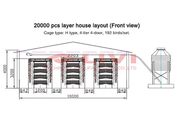 layer house design of 20000 chickens