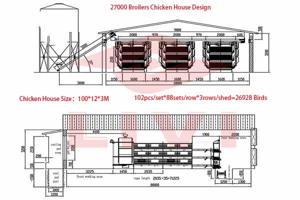 How To Improve Poultry Farming Efficiency A Comprehensive Guide LIVI How To Improve Poultry Farming Efficiency A Comprehensive Guide LIVI